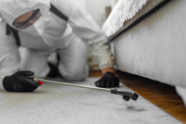 Professional Pest Control technician working in Hamilton, IN
