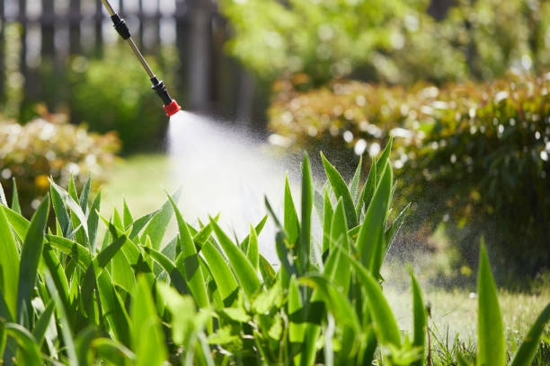 24/7 Emergency Pest Control experts in Hamilton, IN